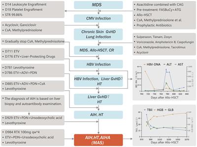 Multiple autoimmune disorders refractory to glucocorticoids after allogeneic hematopoietic stem cell transplantation: a case report and review of the literature